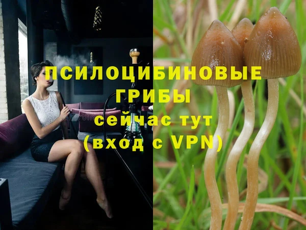 гидропоника Вяземский