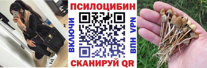 ссылка на мегу рабочий сайт  Барнаул  Псилоцибиновые грибы прущие грибы 
